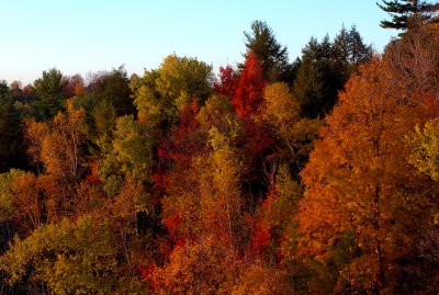 Fall  Ontario 2007