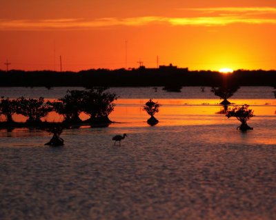 Titusville Sunset 1.JPG