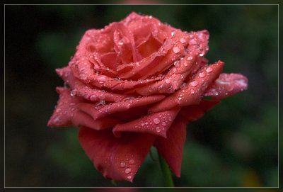 DSC_3908.jpg