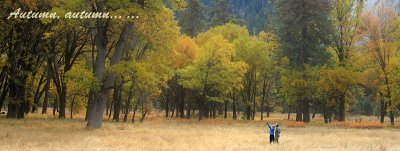 Yosemite National Park