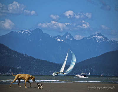 Howe Sound