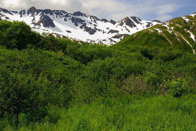 KO-2008-07-08_044.jpg