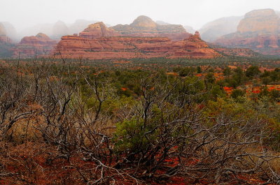Along The Road to Boyton Canyon -1