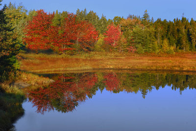 Acadia 2007-10-04_0001-2.jpg
