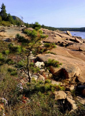 Acadia 2007-09-30_0011.jpg