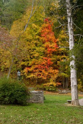 SM2007-10-30_0021.jpg