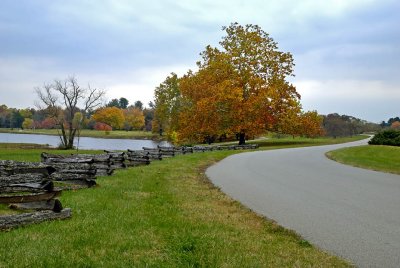 BF 2007-11-04_0072.jpg