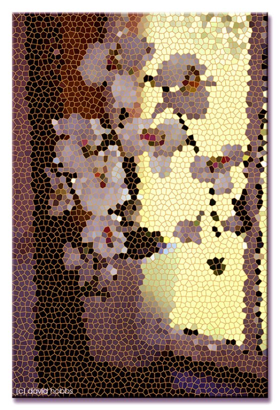 15Feb10Rsgf.jpg