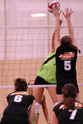 D3S_0230.jpg