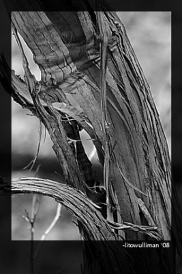 D3S_0508fa.jpg