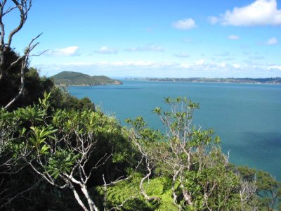 Manukau Harbour View S 902
