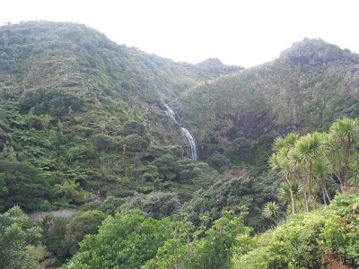 Waterfall Lone Kauri Rd  1208