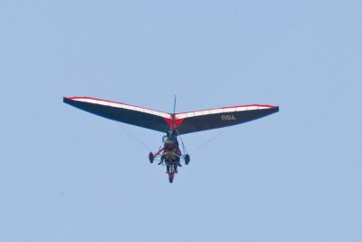 390E3599.jpg