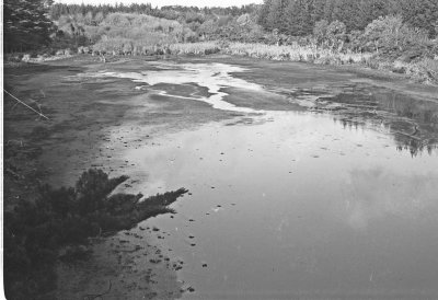 BW22_006.jpg
