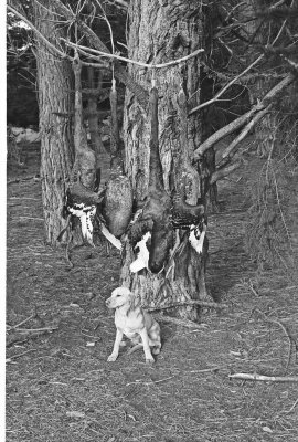 BW22_017.jpg