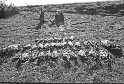 BW32_045.jpg