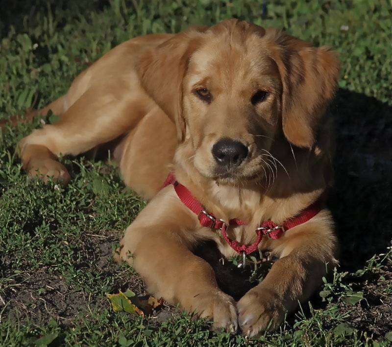 Bella At 18 Weeks