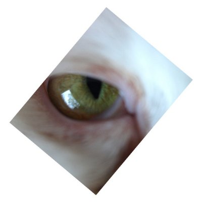 Sarah's Eye