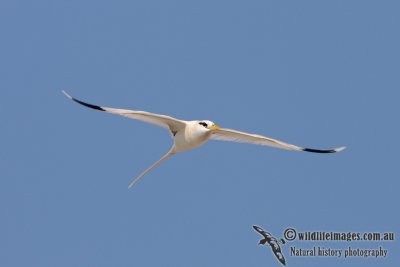 g3/73/838473/3/120020859.vleTdb7a.jpg