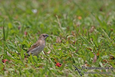 g3/73/838473/3/120163012.p6yEyZjX.jpg