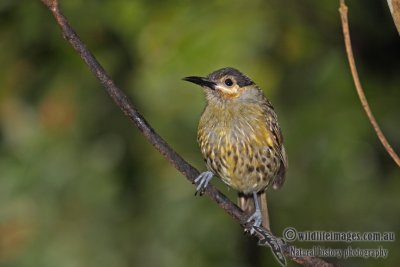 g3/73/838473/3/121863003.EIPian9y.jpg