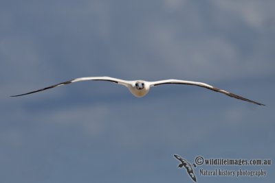 g3/73/838473/3/124761607.h7Ohco8s.jpg