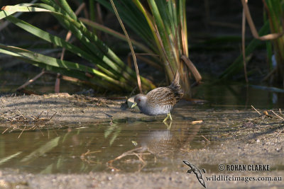 g3/73/838473/3/95475669.aIQf0DXo.jpg
