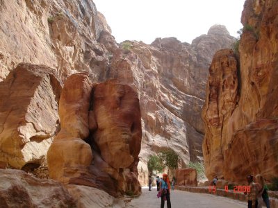 petra20.jpg
