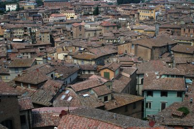 roofs-Siena