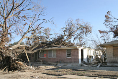 house and tree 2