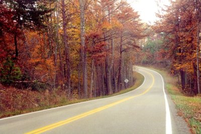 road-fall-Door County-2001