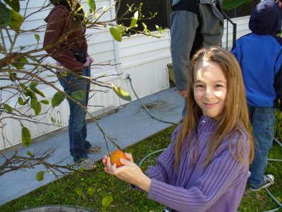 orange  picking.JPG