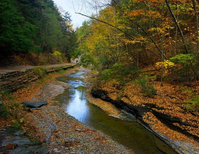 Stony Brook Park NY