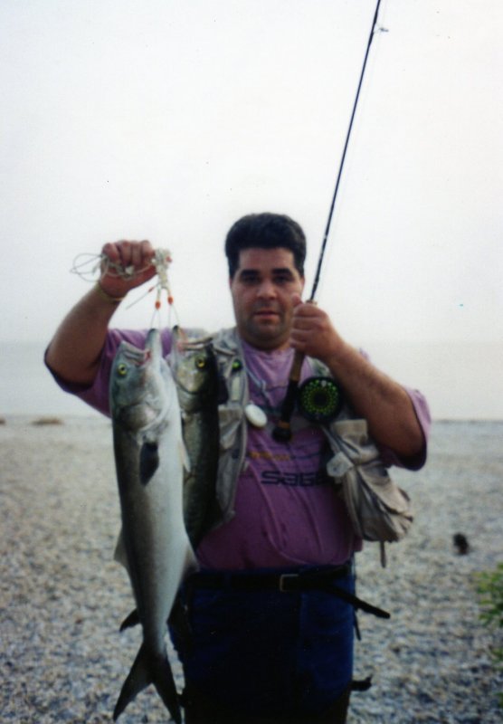 Bluefish