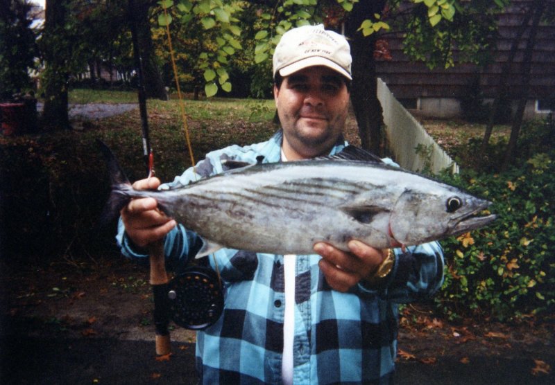 Bonito