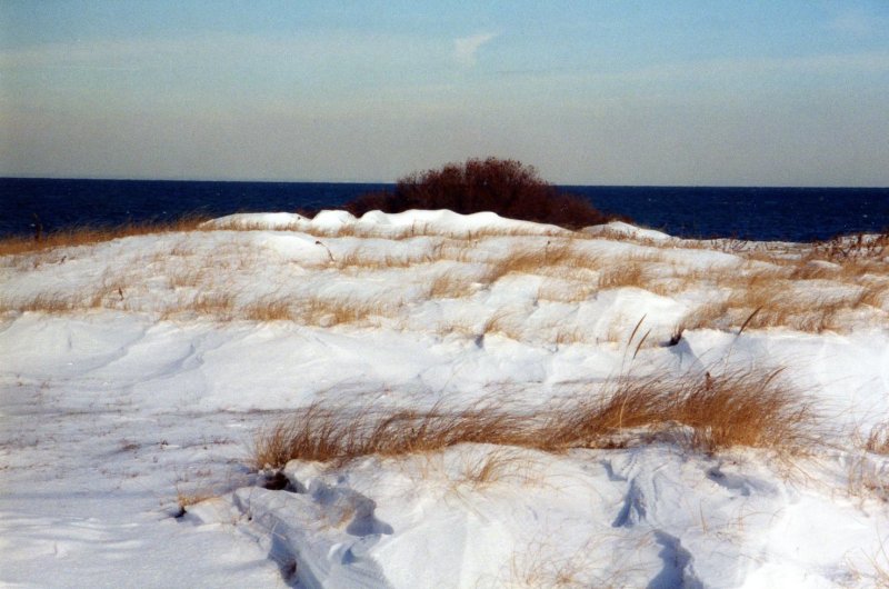 Wintertime