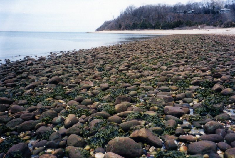 Crane Neck Point Looking North