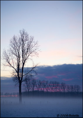 Canon_EOS_5D_Mark_II_20091218_174556_IMG_7214.jpg