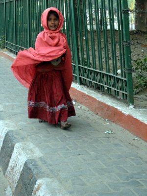 IMG_1316.jpg