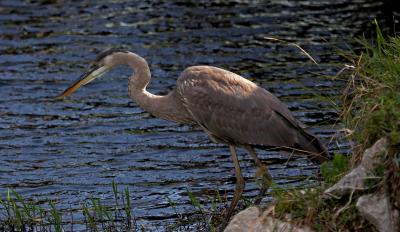 IMG_3582IMG_3575-2.jpg