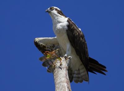 JA2B4828IMG_3575.jpg
