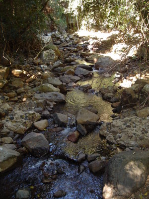 DSC01272.JPG