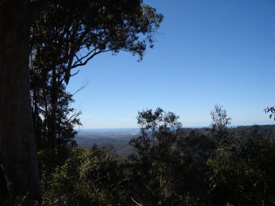 DSC01276.JPG