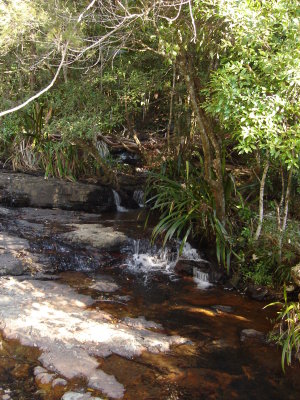 DSC01282.JPG