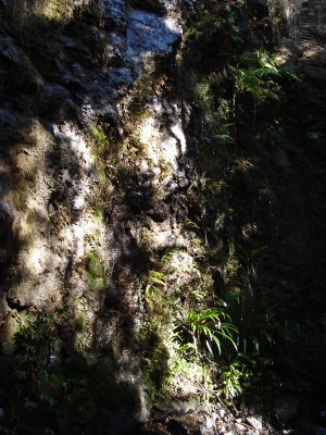 DSC01288.JPG