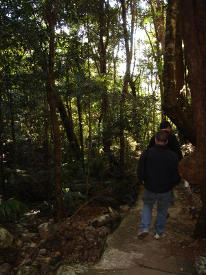 DSC01291.JPG