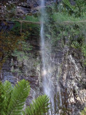 DSC01294.JPG