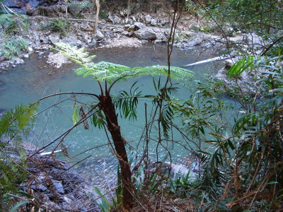 DSC01297.JPG