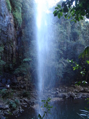 DSC01300.JPG