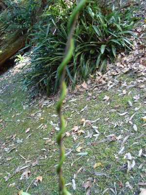 DSC01331.JPG